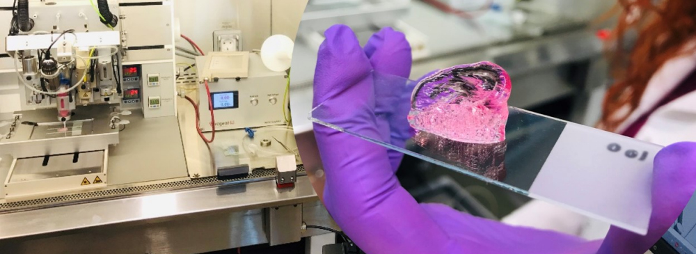 Advanced Bioengineering and Healthcare Materials